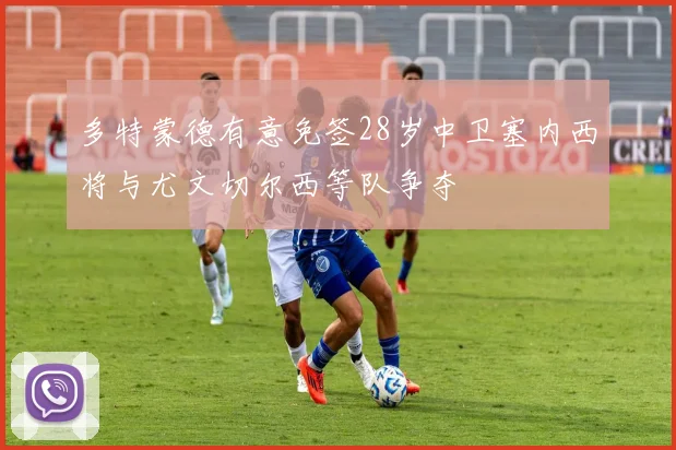 多特蒙德有意免签28岁中卫塞内西将与尤文切尔西等队争夺