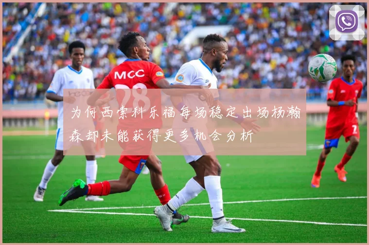 为何西索科乐福每场稳定出场杨瀚森却未能获得更多机会分析