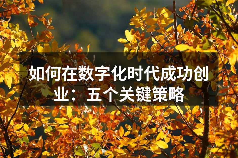 如何在数字化时代成功创业：五个关键策略