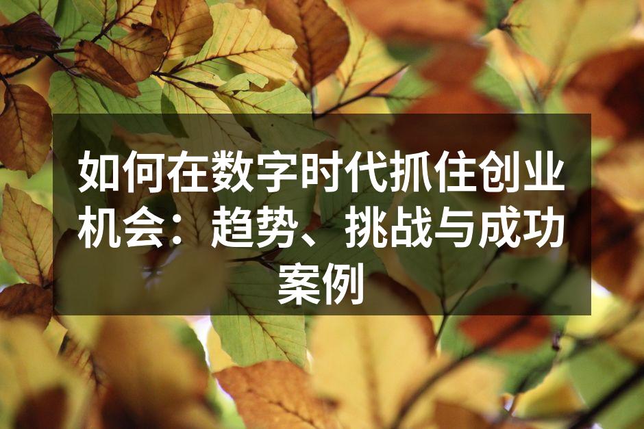 如何在数字时代抓住创业机会：趋势、挑战与成功案例