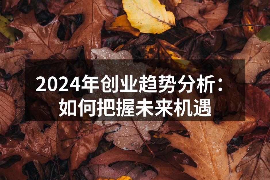 2024年创业趋势分析：如何把握未来机遇
